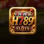 H789 Game