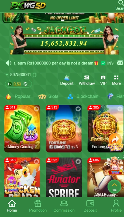 pkwg5d-game-image