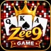 Zee9 Game