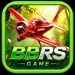 BBRS Game
