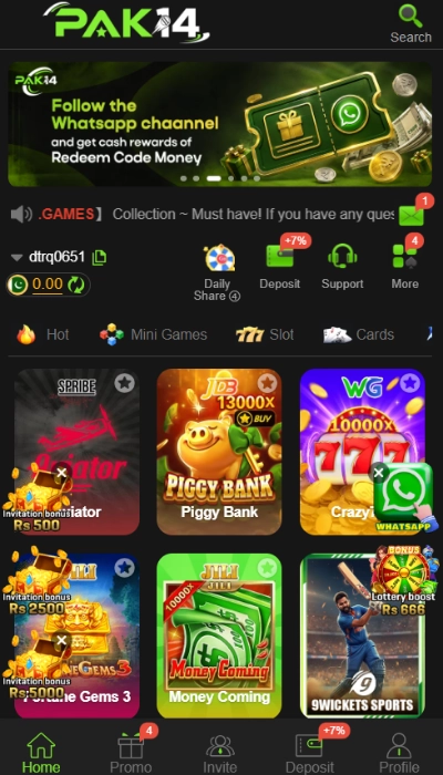 pak14-game-image